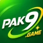 PAK9 Game